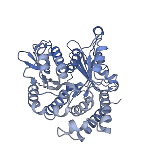 20858_6ve7_a_v1-0
The inner junction complex of Chlamydomonas reinhardtii doublet microtubule
