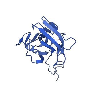 20858_6ve7_c_v1-0
The inner junction complex of Chlamydomonas reinhardtii doublet microtubule
