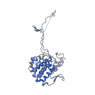 20858_6ve7_d_v1-0
The inner junction complex of Chlamydomonas reinhardtii doublet microtubule
