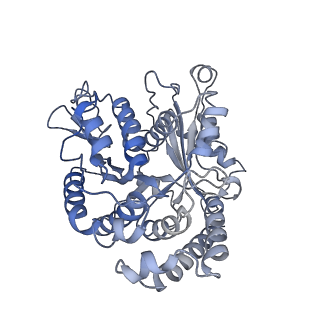 20858_6ve7_e_v1-0
The inner junction complex of Chlamydomonas reinhardtii doublet microtubule
