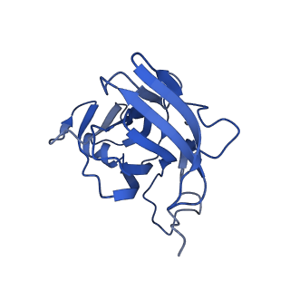 20858_6ve7_g_v1-0
The inner junction complex of Chlamydomonas reinhardtii doublet microtubule