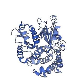 20858_6ve7_h_v1-0
The inner junction complex of Chlamydomonas reinhardtii doublet microtubule