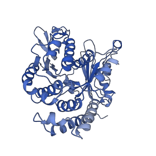20858_6ve7_i_v1-0
The inner junction complex of Chlamydomonas reinhardtii doublet microtubule