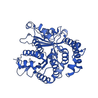 20858_6ve7_k_v1-0
The inner junction complex of Chlamydomonas reinhardtii doublet microtubule