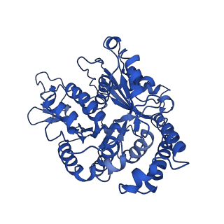 20858_6ve7_m_v1-0
The inner junction complex of Chlamydomonas reinhardtii doublet microtubule