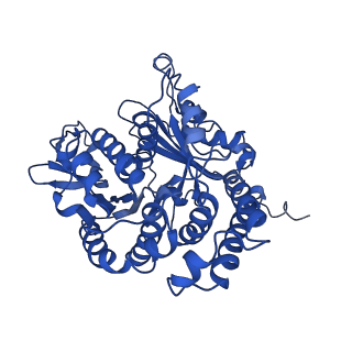 20858_6ve7_p_v1-0
The inner junction complex of Chlamydomonas reinhardtii doublet microtubule