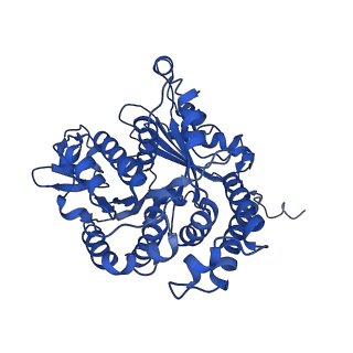 20858_6ve7_q_v1-0
The inner junction complex of Chlamydomonas reinhardtii doublet microtubule