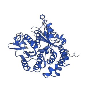 20858_6ve7_r_v1-0
The inner junction complex of Chlamydomonas reinhardtii doublet microtubule
