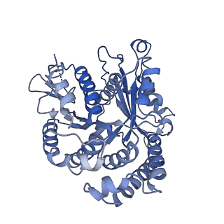20858_6ve7_s_v1-0
The inner junction complex of Chlamydomonas reinhardtii doublet microtubule