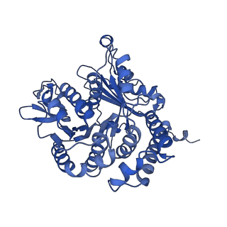 20858_6ve7_t_v1-0
The inner junction complex of Chlamydomonas reinhardtii doublet microtubule