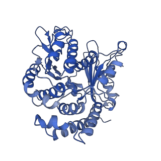 20858_6ve7_u_v1-0
The inner junction complex of Chlamydomonas reinhardtii doublet microtubule