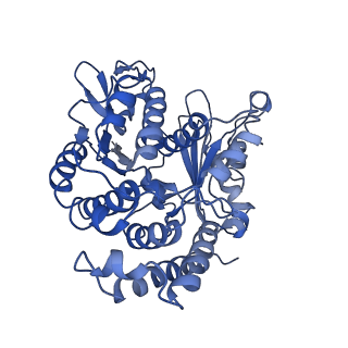 20858_6ve7_w_v1-0
The inner junction complex of Chlamydomonas reinhardtii doublet microtubule