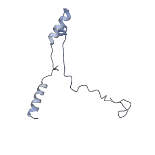 20858_6ve7_x_v1-0
The inner junction complex of Chlamydomonas reinhardtii doublet microtubule