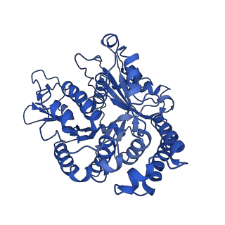 20858_6ve7_y_v1-0
The inner junction complex of Chlamydomonas reinhardtii doublet microtubule