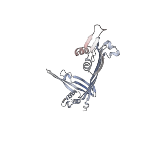 21152_6ve2_G_v1-3
Tetradecameric PilQ bound by TsaP heptamer from Pseudomonas aeruginosa