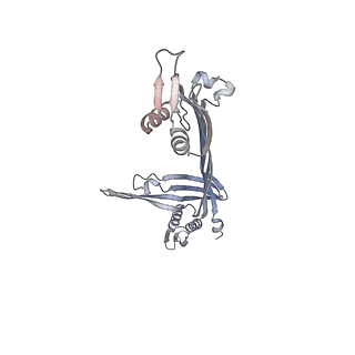 21152_6ve2_H_v1-3
Tetradecameric PilQ bound by TsaP heptamer from Pseudomonas aeruginosa