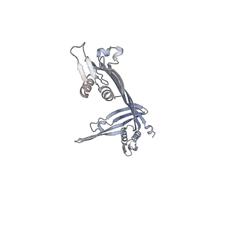 21152_6ve2_I_v1-3
Tetradecameric PilQ bound by TsaP heptamer from Pseudomonas aeruginosa