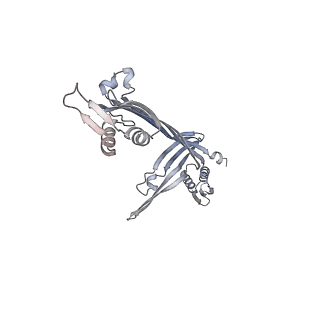 21152_6ve2_J_v1-3
Tetradecameric PilQ bound by TsaP heptamer from Pseudomonas aeruginosa