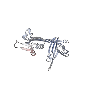 21152_6ve2_K_v1-3
Tetradecameric PilQ bound by TsaP heptamer from Pseudomonas aeruginosa