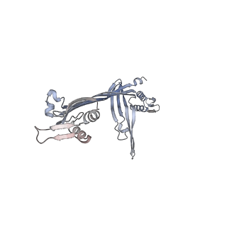 21152_6ve2_L_v1-3
Tetradecameric PilQ bound by TsaP heptamer from Pseudomonas aeruginosa