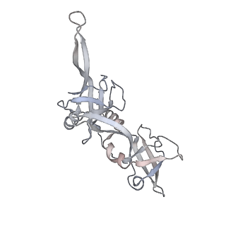 21152_6ve2_O_v1-2
Tetradecameric PilQ bound by TsaP heptamer from Pseudomonas aeruginosa