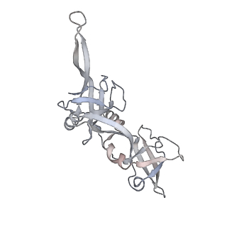 21152_6ve2_O_v1-3
Tetradecameric PilQ bound by TsaP heptamer from Pseudomonas aeruginosa