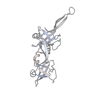 21152_6ve2_P_v1-2
Tetradecameric PilQ bound by TsaP heptamer from Pseudomonas aeruginosa