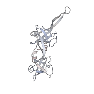 21152_6ve2_P_v1-3
Tetradecameric PilQ bound by TsaP heptamer from Pseudomonas aeruginosa