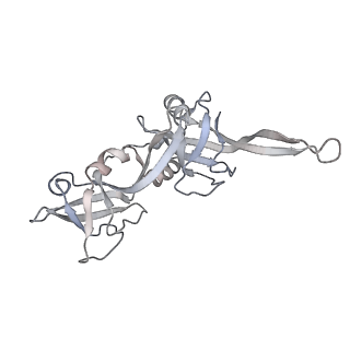 21152_6ve2_Q_v1-2
Tetradecameric PilQ bound by TsaP heptamer from Pseudomonas aeruginosa