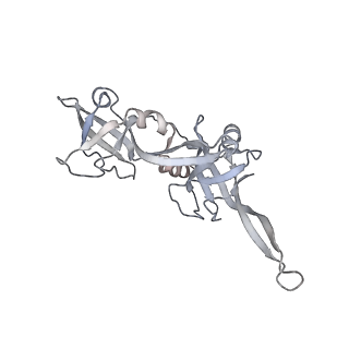 21152_6ve2_R_v1-2
Tetradecameric PilQ bound by TsaP heptamer from Pseudomonas aeruginosa