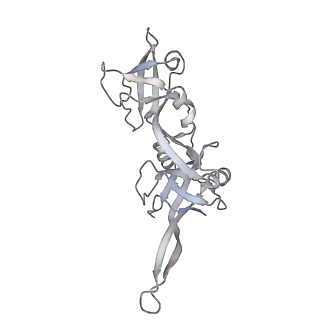 21152_6ve2_S_v1-2
Tetradecameric PilQ bound by TsaP heptamer from Pseudomonas aeruginosa