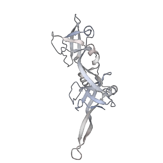 21152_6ve2_S_v1-3
Tetradecameric PilQ bound by TsaP heptamer from Pseudomonas aeruginosa