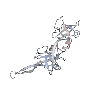 21152_6ve2_T_v1-2
Tetradecameric PilQ bound by TsaP heptamer from Pseudomonas aeruginosa