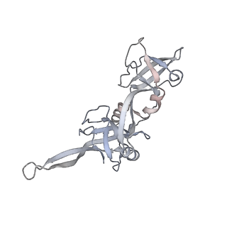 21152_6ve2_T_v1-3
Tetradecameric PilQ bound by TsaP heptamer from Pseudomonas aeruginosa