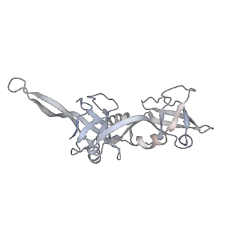21152_6ve2_U_v1-2
Tetradecameric PilQ bound by TsaP heptamer from Pseudomonas aeruginosa
