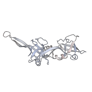 21152_6ve2_U_v1-3
Tetradecameric PilQ bound by TsaP heptamer from Pseudomonas aeruginosa