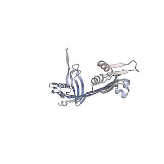 21153_6ve3_B_v1-3
Tetradecameric PilQ from Pseudomonas aeruginosa