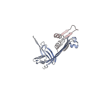 21153_6ve3_C_v1-3
Tetradecameric PilQ from Pseudomonas aeruginosa