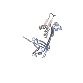 21153_6ve3_D_v1-3
Tetradecameric PilQ from Pseudomonas aeruginosa