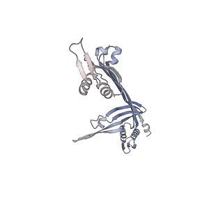 21153_6ve3_F_v1-3
Tetradecameric PilQ from Pseudomonas aeruginosa