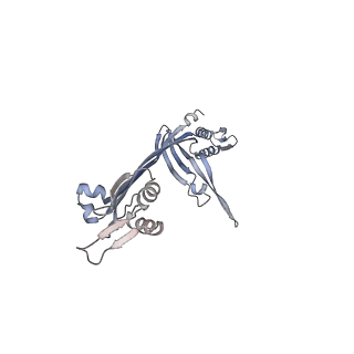 21153_6ve3_J_v1-3
Tetradecameric PilQ from Pseudomonas aeruginosa