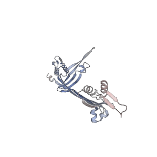 21153_6ve3_N_v1-3
Tetradecameric PilQ from Pseudomonas aeruginosa