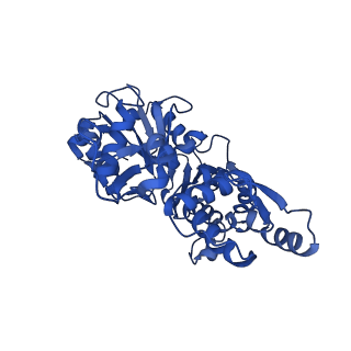 21155_6vec_B_v1-1
Cryo-EM structure of F-actin/Plastin2-ABD2 complex