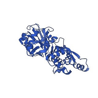 21155_6vec_B_v1-2
Cryo-EM structure of F-actin/Plastin2-ABD2 complex