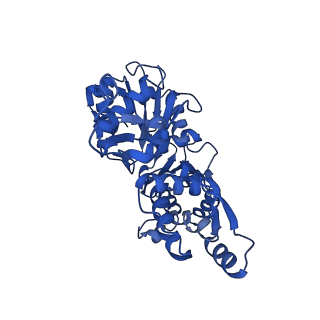 21155_6vec_C_v1-1
Cryo-EM structure of F-actin/Plastin2-ABD2 complex