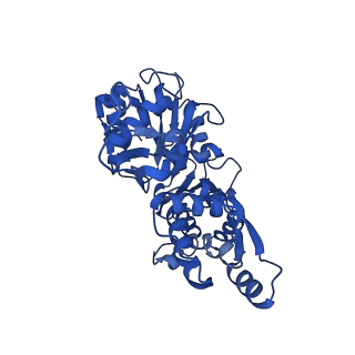 21155_6vec_C_v1-2
Cryo-EM structure of F-actin/Plastin2-ABD2 complex