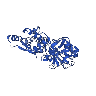 21155_6vec_D_v1-1
Cryo-EM structure of F-actin/Plastin2-ABD2 complex