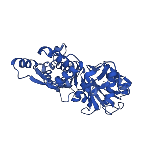 21155_6vec_D_v1-2
Cryo-EM structure of F-actin/Plastin2-ABD2 complex