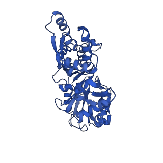 21155_6vec_E_v1-1
Cryo-EM structure of F-actin/Plastin2-ABD2 complex