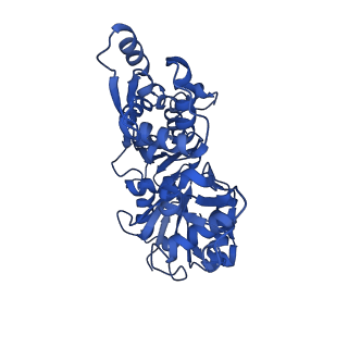 21155_6vec_E_v1-2
Cryo-EM structure of F-actin/Plastin2-ABD2 complex